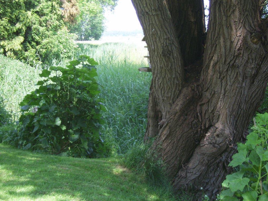 Theaterherberg Warfhuizen Buitenkant foto
